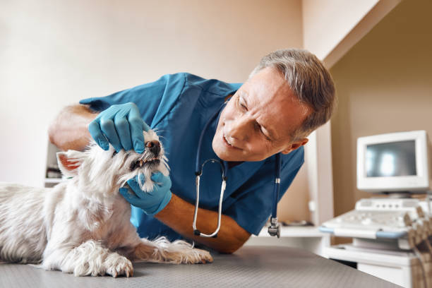Best Emergency Broken Tooth Repair in Manteo, NC